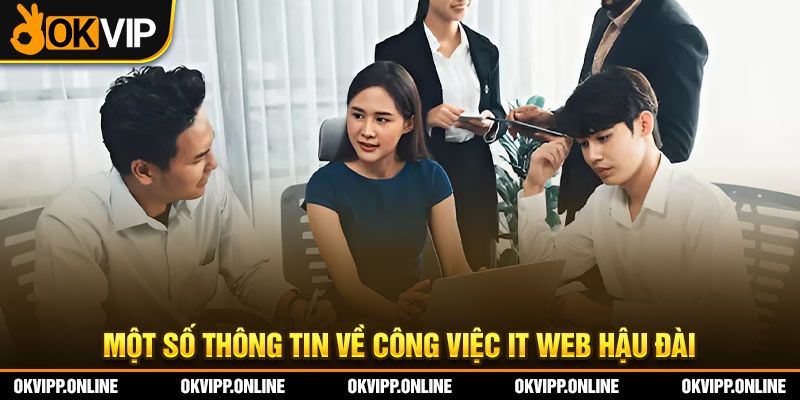 Một số thông tin về công việc IT Web hậu đài.