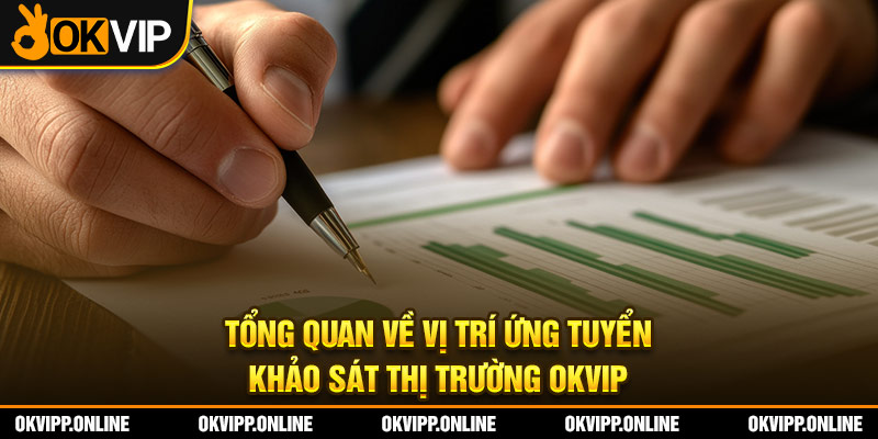 Tổng quan về vị trí ứng tuyển khảo sát thị trường OKVIP