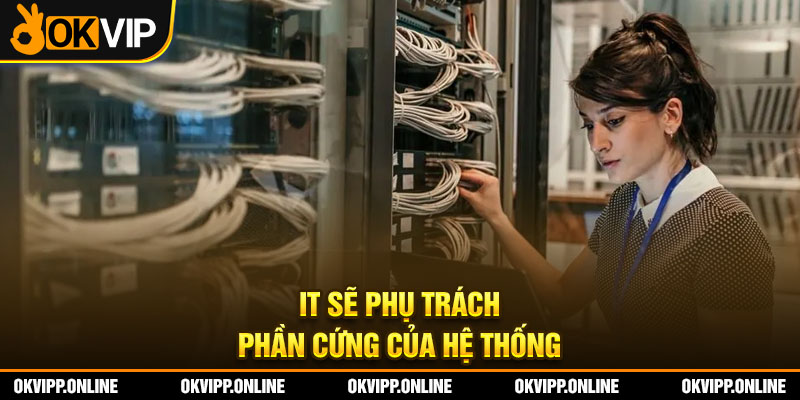 IT sẽ phụ trách phần cứng của hệ thống