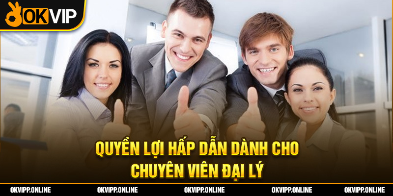 Quyền lợi hấp dẫn dành cho chuyên viên đại lý