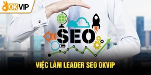 Tuyển Dụng Leader SEO OKVIP Lương Hấp Dẫn 2024