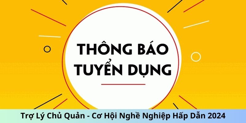 Trợ Lý Chủ Quản - Nghề Nghiệp Thú Vị Chờ Đón 2024