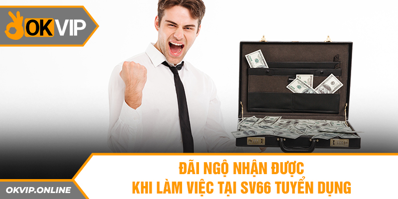 Đãi ngộ nhận được khi làm việc tại SV66 tuyển dụng