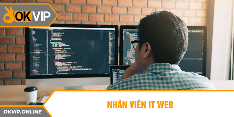 Nhân Viên IT Web